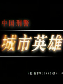 中国刑警之城市英雄