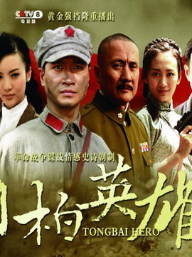 桐柏英雄