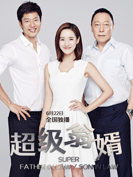 超级翁婿