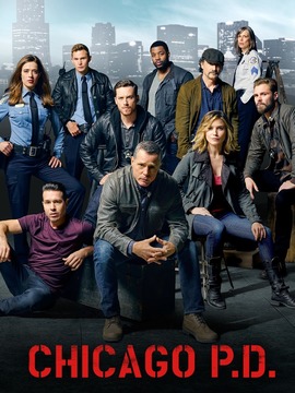 芝加哥警署第五季