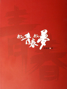 我的青春我的梦
