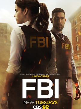 联邦调查局第一季